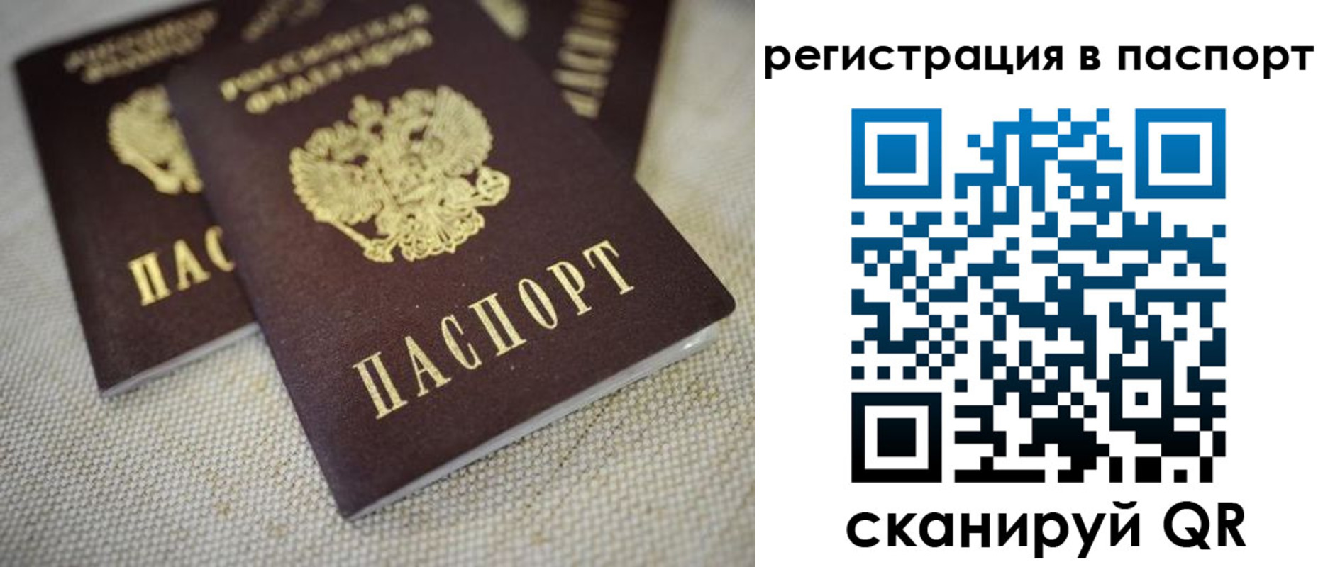 прописка гарантия в Красногорске